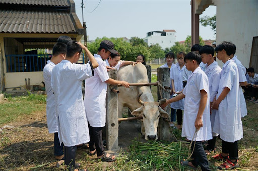 ngành chăn nuôi thú y