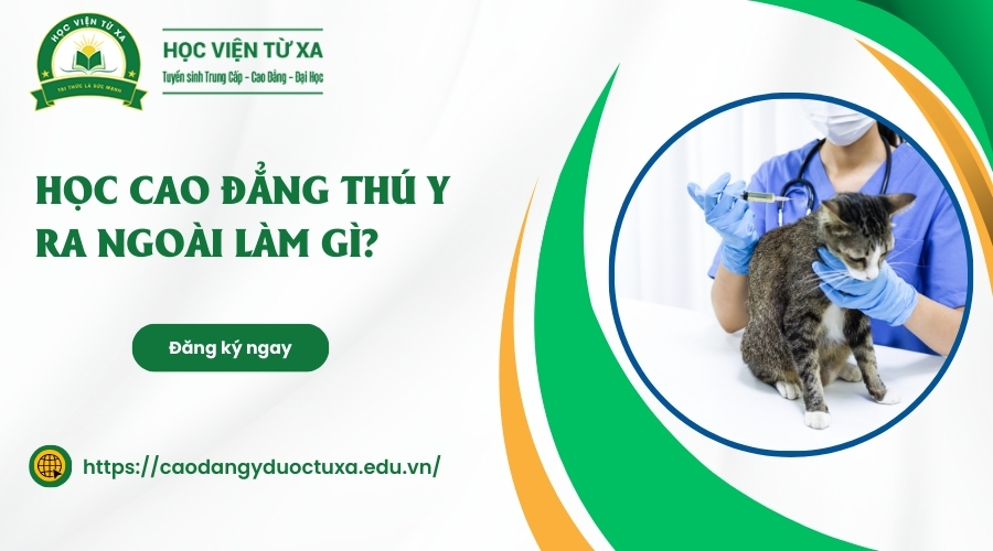 Học Cao đẳng Thú Y ra ngoài làm gì?