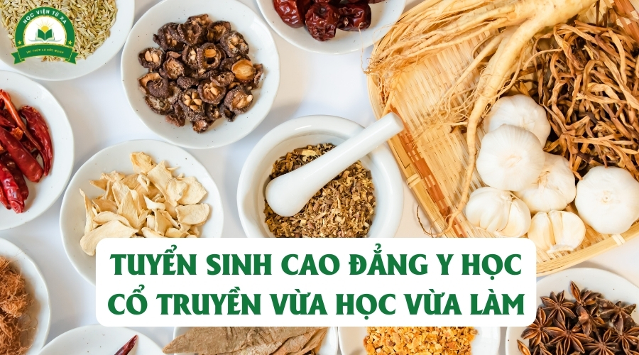 Tuyển sinh Cao đẳng Y học cổ truyền vừa học vừa làm