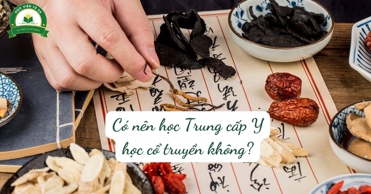 Có nên học Trung cấp Y học cổ truyền không?