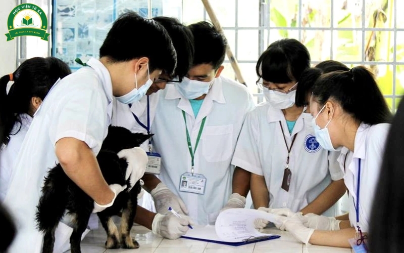 Thông tin tuyển sinh Trung cấp Thú Y chính quy