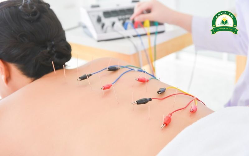 Cơ hội việc làm đa dạng sau khi tốt nghiệp Cao đẳng Y học cổ truyền