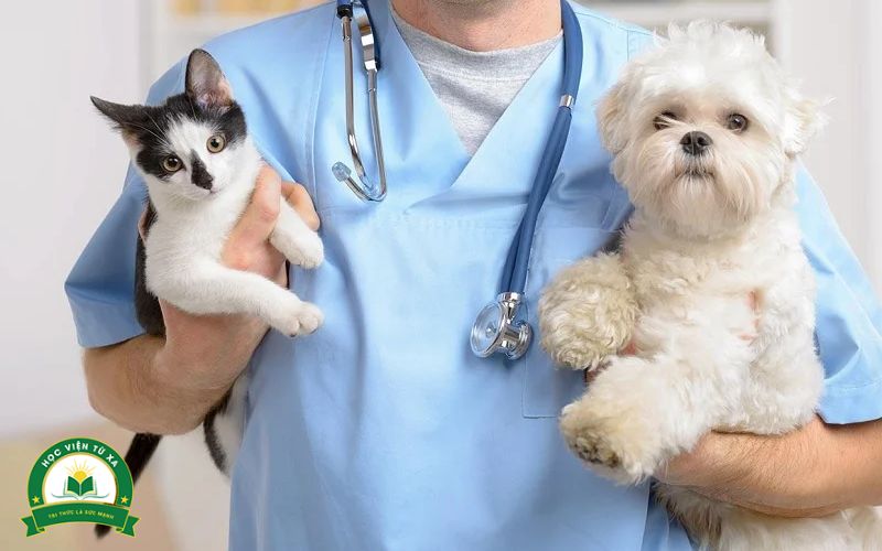 Học phí Trung cấp Thú Y có cao không?