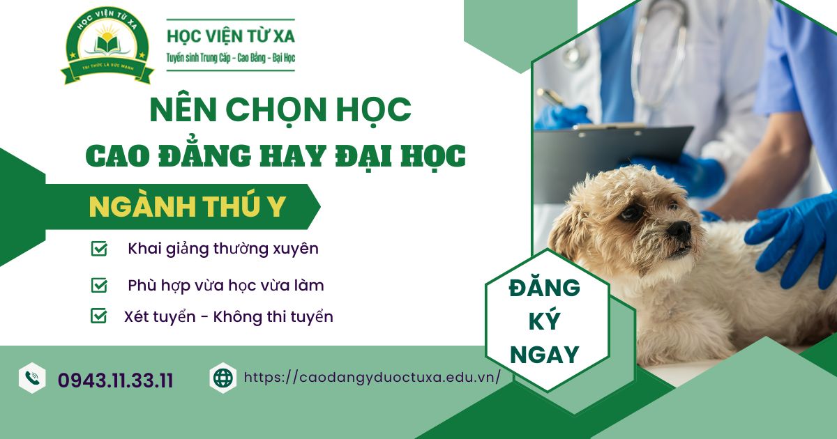 Nên chọn học Cao đẳng Thú Y hay Đại học Thú Y