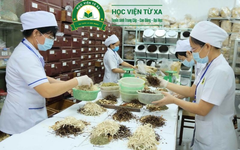 Mục tiêu đào tạo Trung cấp nghề Y học cổ truyền 