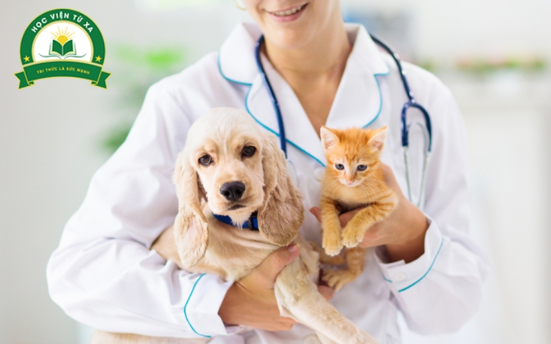 Trung cấp Thú Y cấp tốc là gì?