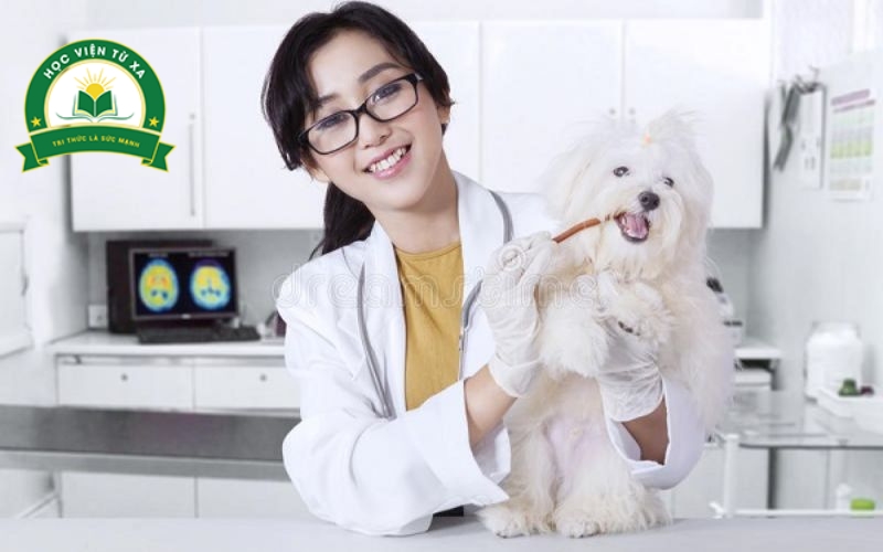 Trung cấp nghề Thú Y là gì?