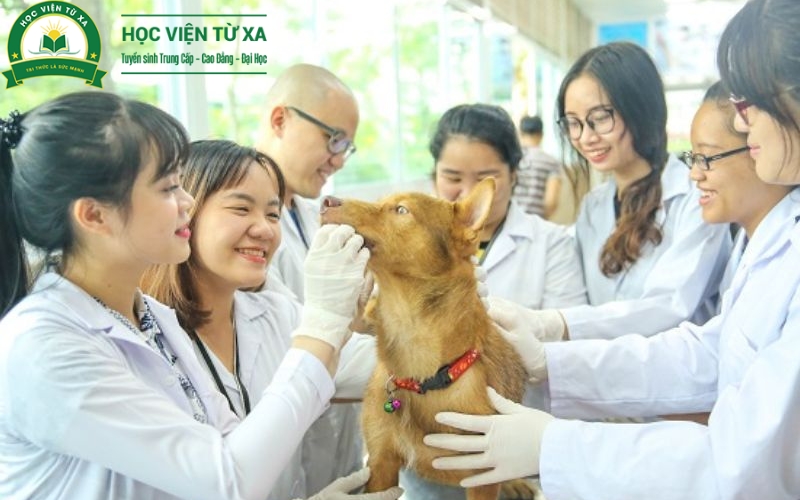 Cơ hội việc làm sau khi học Trung cấp Thú y 