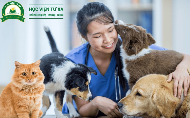 Trung cấp Thú y là gì?