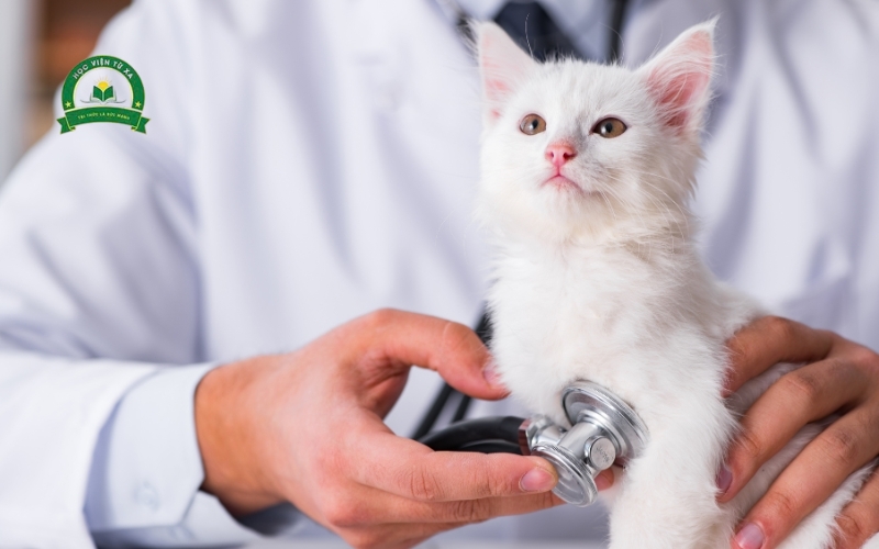 Giá trị bằng Trung cấp Thú Y vừa học vừa làm