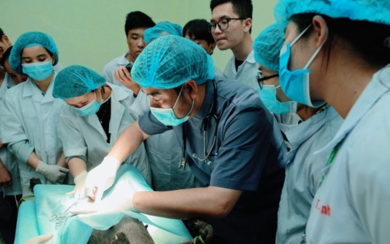 Thông tin tuyển sinh Trung cấp Thú y trực tuyến
