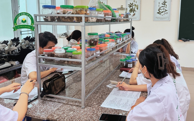 Thông tin tuyển sinh Trung cấp Y học cổ truyền từ xa