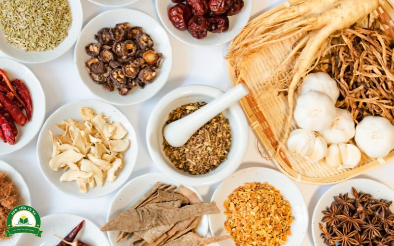 Ưu điểm nổi bật của khóa học Trung cấp Y học cổ truyền Cấp tốc