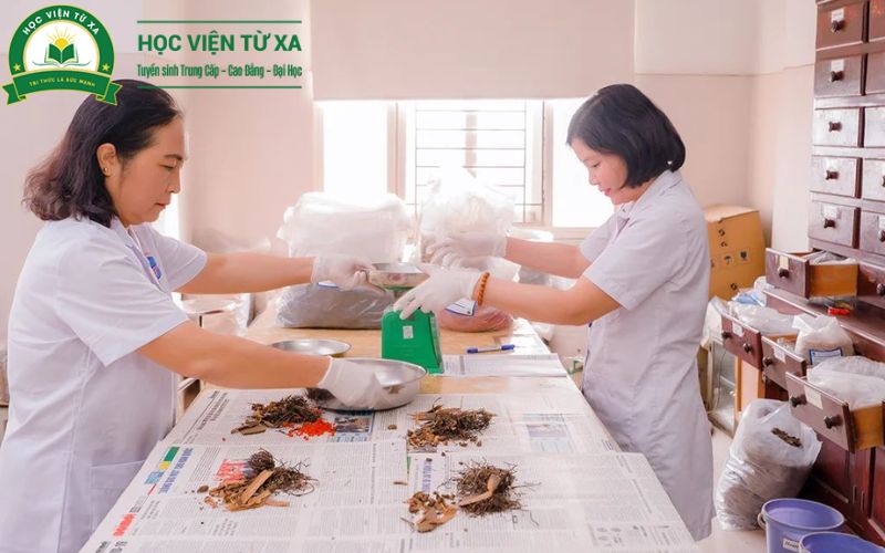 Học Trung cấp Y học cổ truyền Cấp tốc dễ xin việc không?