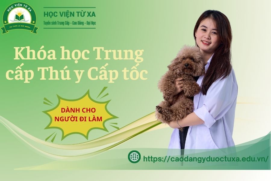 Khóa học Trung cấp Thú y Cấp tốc dành cho người đi làm