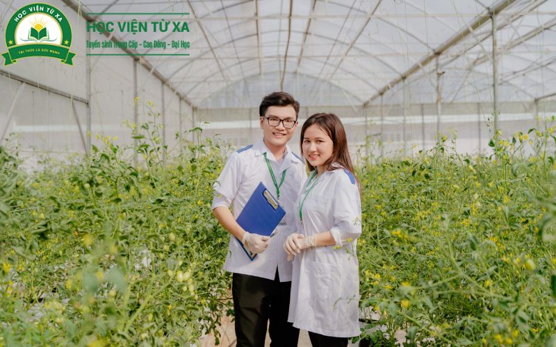 Những lợi ích khi học Trung cấp Y học cổ truyền Cấp tốc