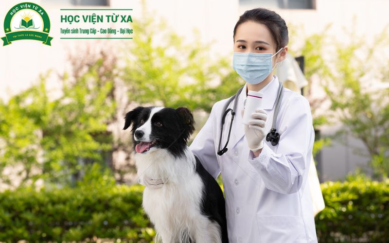 Thông tin tuyển sinh Trung cấp Thú y Cấp tốc tại Trường Cao Đẳng Y Dược Từ xa