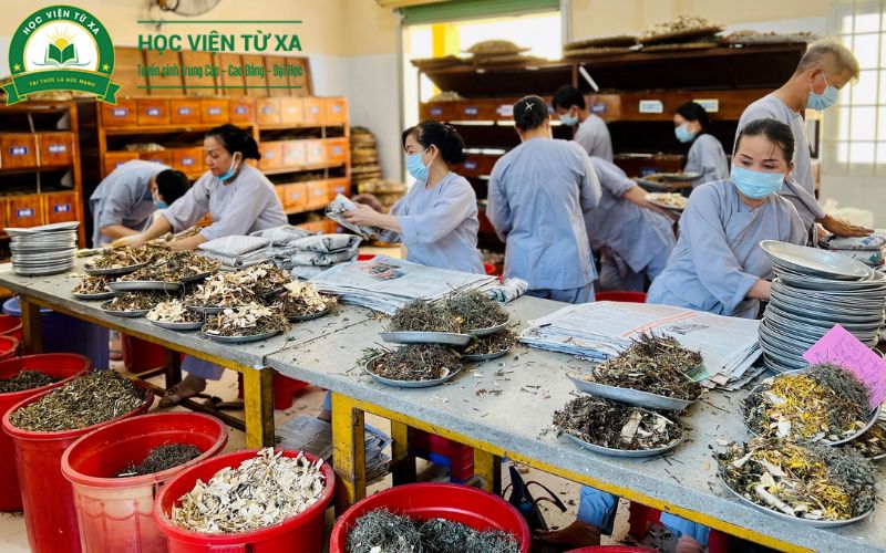 Thông tin tuyển sinh Trung cấp Y học cổ truyền Cấp tốc tại Trường Cao Đẳng Y Dược Từ xa
