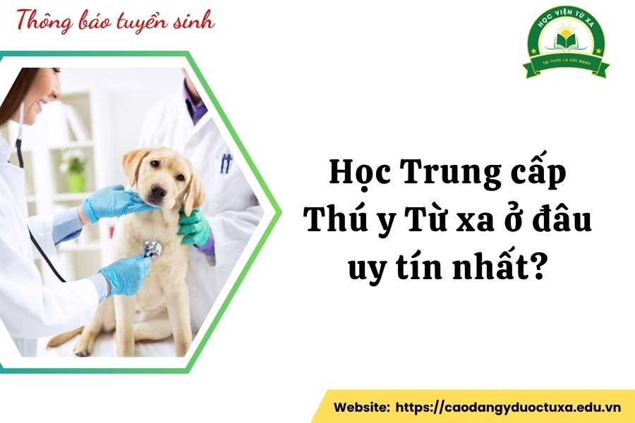 Học Trung cấp Thú y Từ xa ở đâu uy tín nhất?