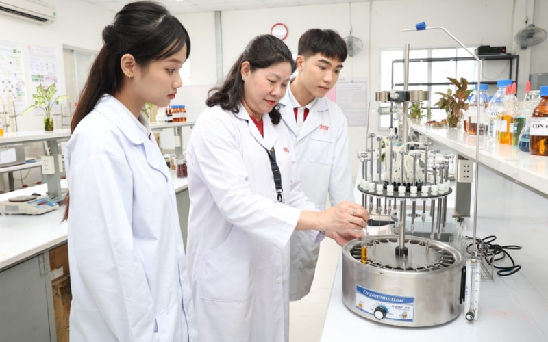 Mức thu nhập và triển vọng nghề nghiệp của Trung cấp Y học cổ truyền Chính quy