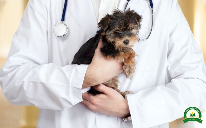 Thời gian học Trung cấp Thú Y bao lâu?