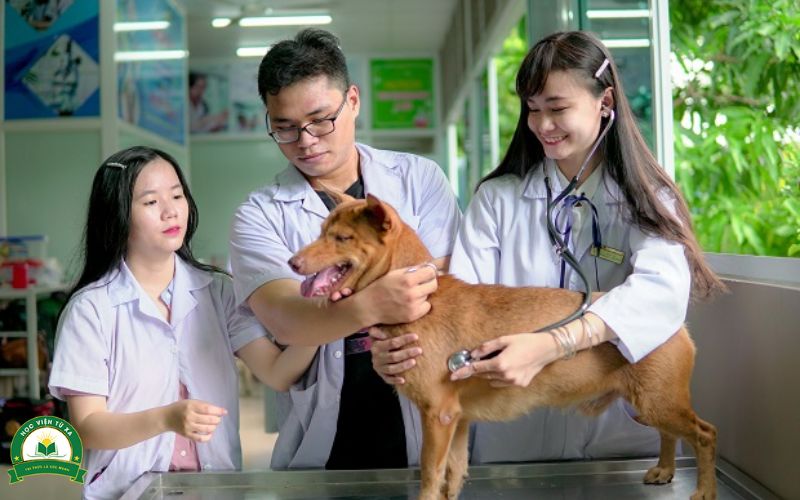 Trung cấp ngành Thú Y dành cho người đi làm là sao?