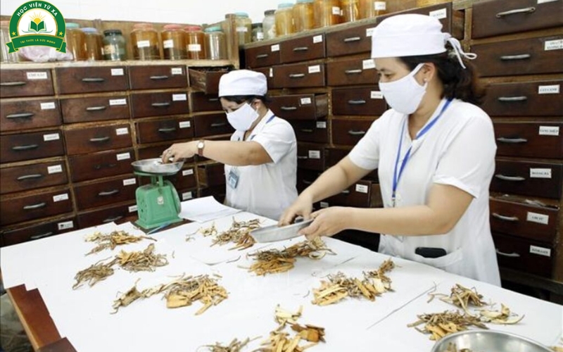 Mức lương Trung cấp Y học cổ truyền hiện nay bao nhiêu?