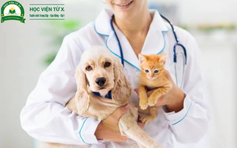Học Trung cấp Thú y vừa học vừa làm tại Trường Cao đẳng Y Dược Từ xa
