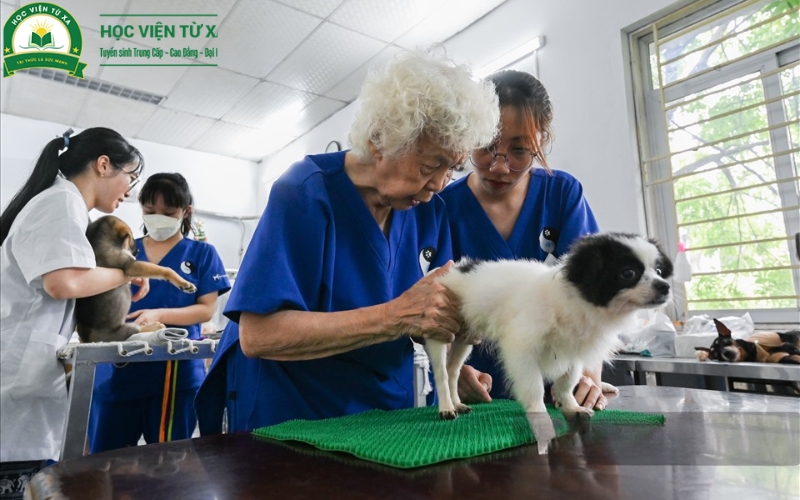 Nội dung học Trung cấp Thú Y vừa học vừa làm