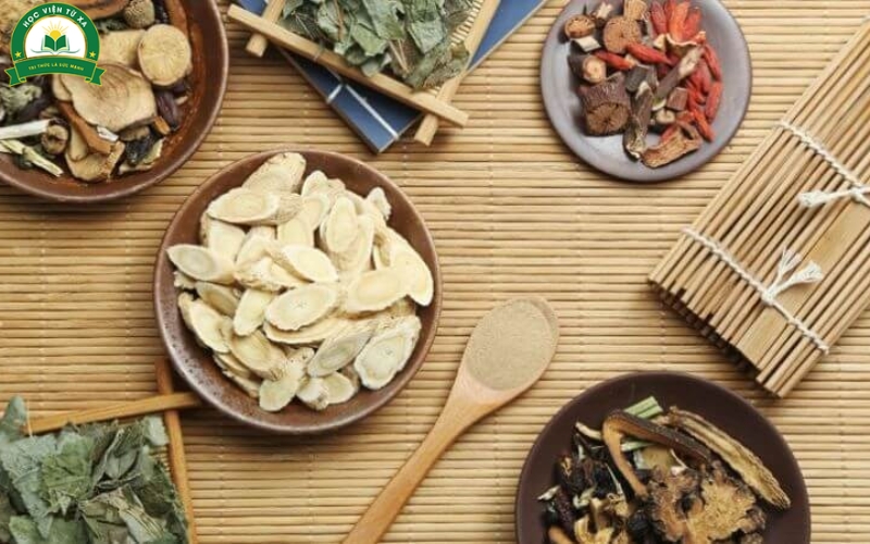 Thời gian học và lộ trình đào tạo học online ngành Y học cổ truyền