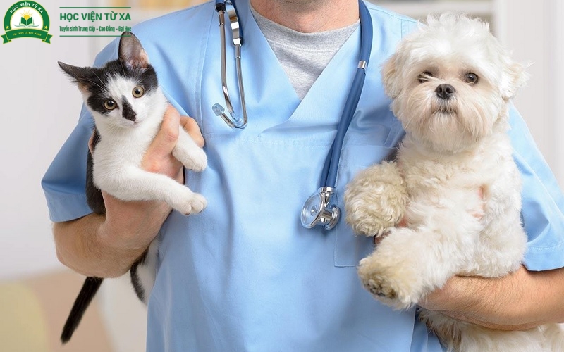 Học phí khi Liên thông ngành Bác sĩ Thú y bao nhiêu?