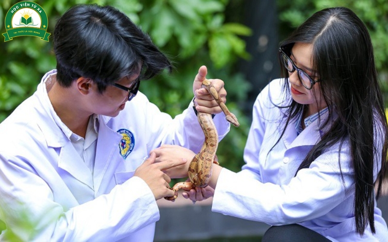 Người đi làm có thể học Liên thông Cao đẳng Thú y không?