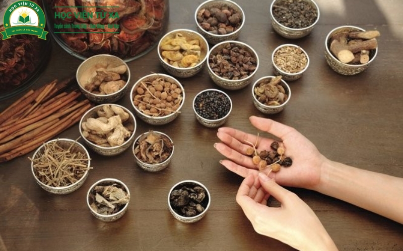 Trường nào cấp bằng Cao đẳng Y học cổ truyền chính quy hiện nay