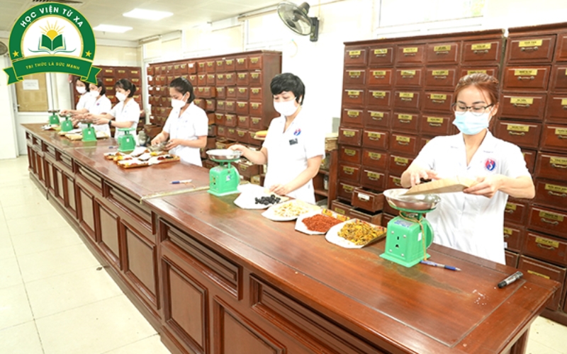 Cơ hội thực hành và thực tập trong quá trình học liên thông ngành Y học cổ truyền