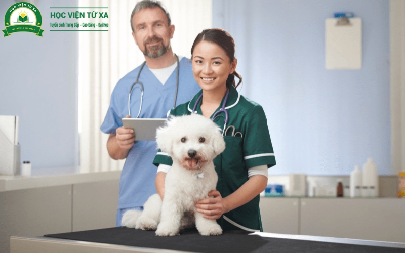 Điều kiện để đào tạo liên thông ngành Bác sĩ Thú y