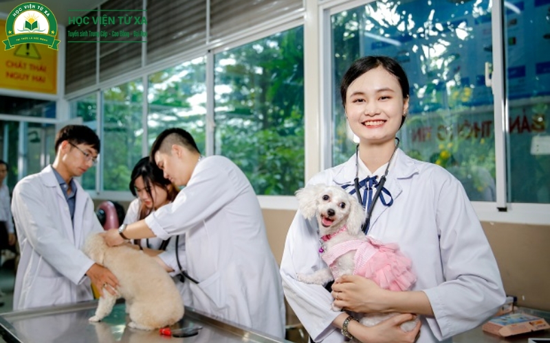 Học liên thông ngành Bác sĩ Thú y xong có giá trị không?