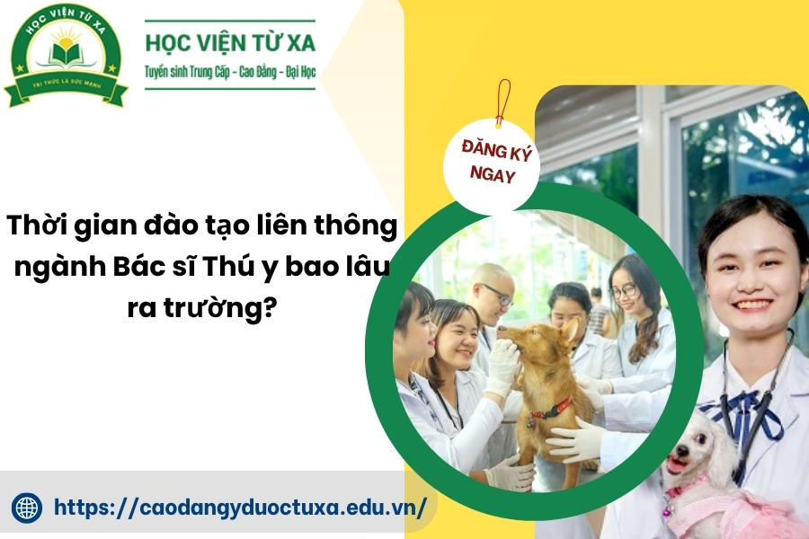 Thời gian đào tạo liên thông ngành Bác sĩ Thú y bao lâu ra trường?