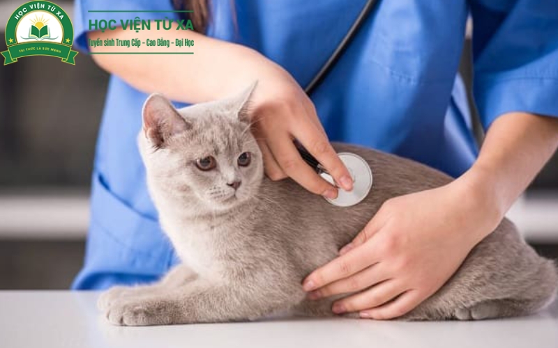 Ưu điểm vượt trội khi sở hữu bằng Trung cấp Thú y Từ xa