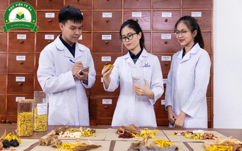 Học trực tuyến Trung cấp Y học cổ truyền ra trường làm công việc gì?