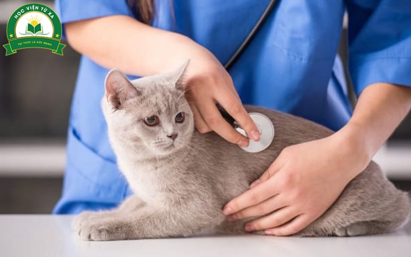 Vì sao nhiều người chọn học từ xa Trung cấp Thú y?