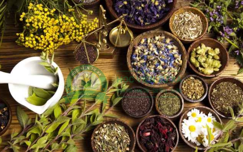Học ngành Y học cổ truyền học từ xa có được cấp bằng không?