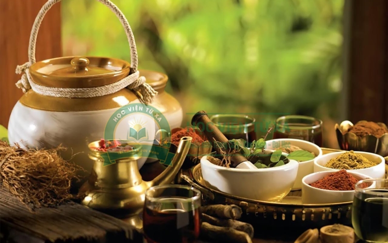 Nên đăng ký ngành Y học cổ truyền học từ xa ở đâu?
