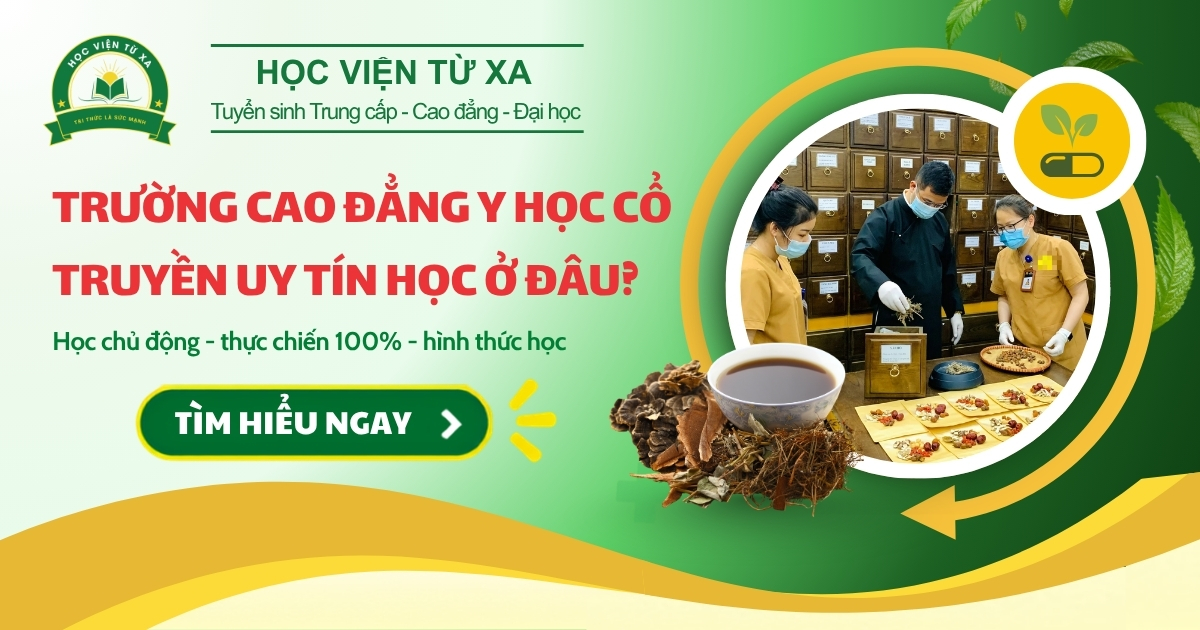 Trường Cao đẳng Y học cổ truyền uy tín học ở đâu?