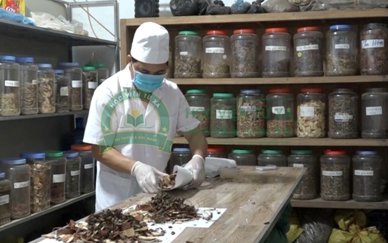 Chương trình đào tạo tại các trường Cao đẳng Y học cổ truyền có tốt không?