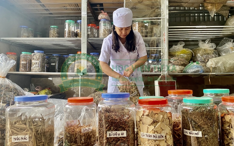 Một số trường Cao đẳng Y học cổ truyền uy tín đang xét tuyển
