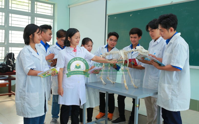 Chương trình học văn bằng 2 ngành Thú y ở TPHCM ra sao?