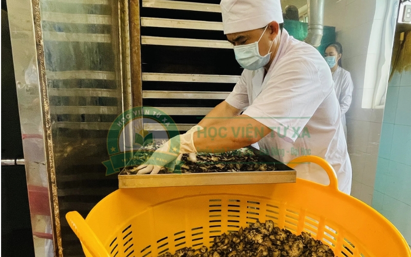 Giá trị văn bằng Trung cấp Y học cổ truyền hệ từ xa so với trực tiếp