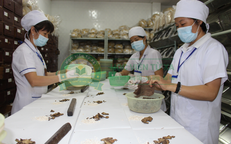 Học Cao đẳng Y học cổ truyền từ xa được cấp giấy phép hành nghề không?