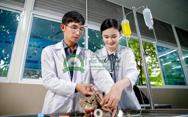 Học văn bằng 2 ngành Thú y ở TPHCM dành cho người bận rộn